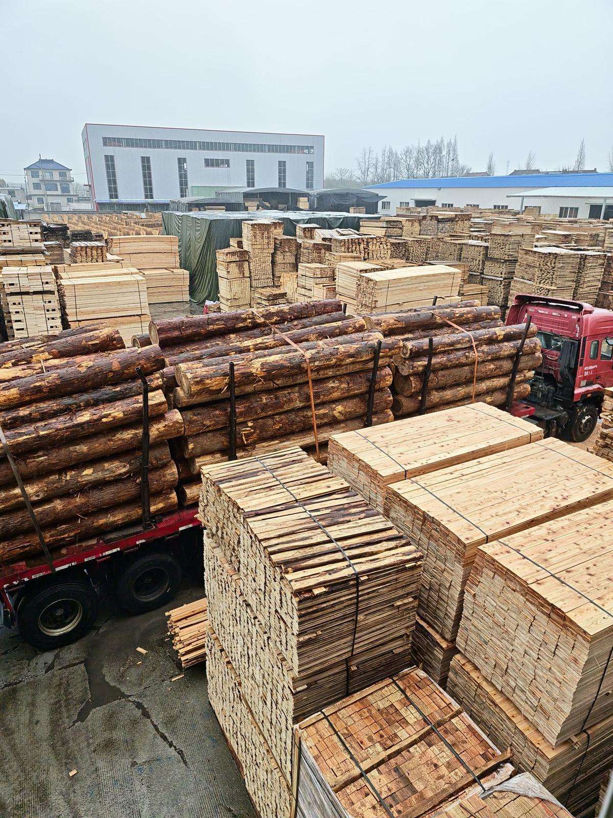 条子工厂实拍图